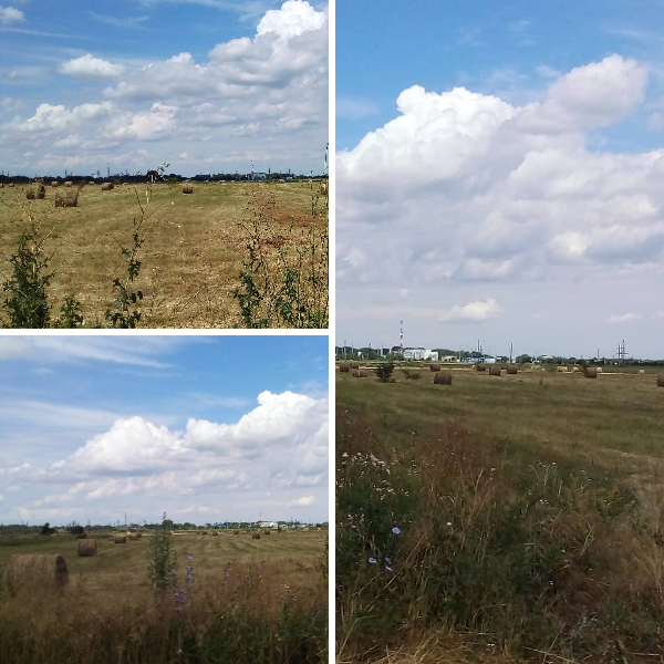 Коллаж из трёх фотографий на тему поле и стога